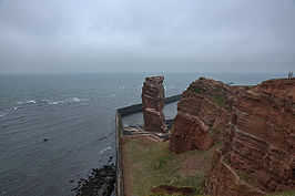 DSC02826 -1_t.jpg